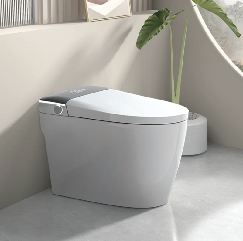 Smart Toilet